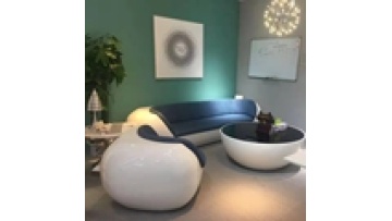 Modern Luxury Unique Creative Oval Sofa Coffee Table Set Baking Paint for Reception Area Living Room Business School1