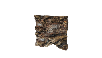 Dinosaur Fossil  Tree Combo Backdrop for Exotic Pets