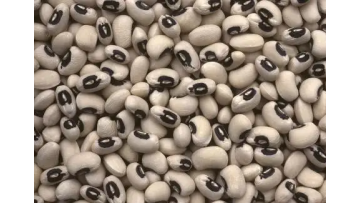 blackeye bean peeling machine