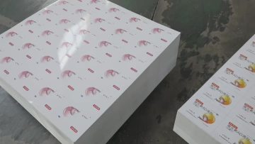 Preprinted Sheet