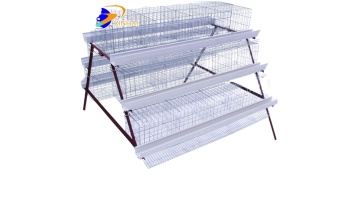 Wholesale chicken cage types of chicken cage for sale philippines galvanized layer chicken cages1