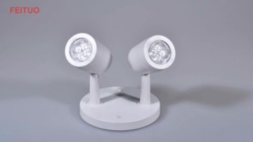 Lighting CNDRH2 Emergency LED Remote Dual Head Fixture1