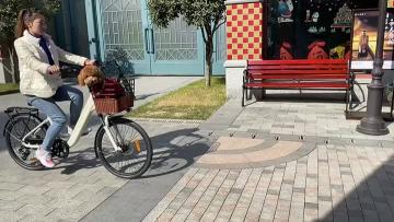 Electric City Bike LC01EZ with  Baby Part one