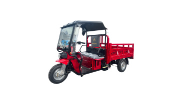 Flexible and convenient cab tricycle
