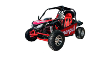 Christmas Gift: Gas Powered Snow Go Kart & Dune Buggy 200CC - Off Road Karting Desert Buggy Sale1