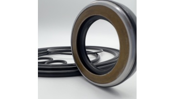 39-Swing Motor Repair Kit