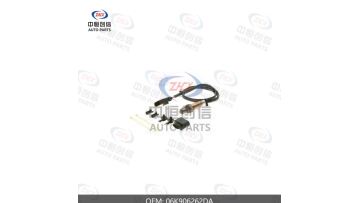 Oxygen Sensor