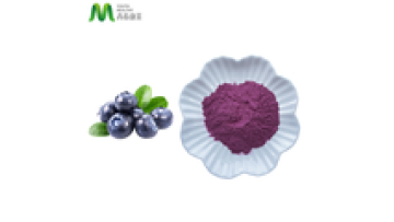 Water Soluble Organic  Blueberry Juice Powder1