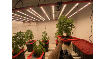 AGLEX 650W LED Grow Light
