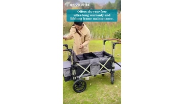 Video 41