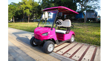 Shaanxi customer customized 2 seater golf cart