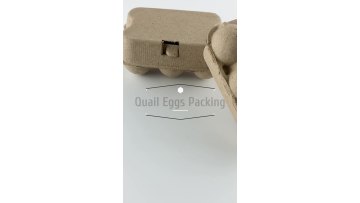 High quality disposable wholesale recycled Eco-Friendly Paper pulp Quail Eggs Carton1