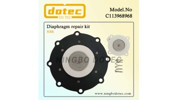 C113968968 Diaphragm Repair Kit