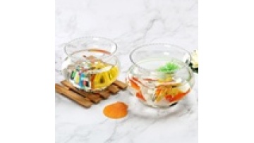 Modern Fashion Mini Small Lace Fish Tank Green Hydroponic Vase1