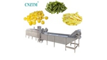 Automatic Vegetable and Fruit Processing Line: Blanching, Washing, and Drying Machine1