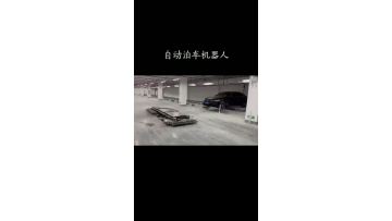 Automated Parking Solution with AGV Technology