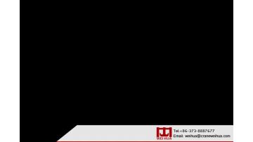 WEIHUA CRANE