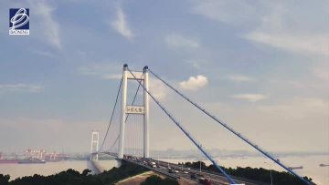 Steel Wire
