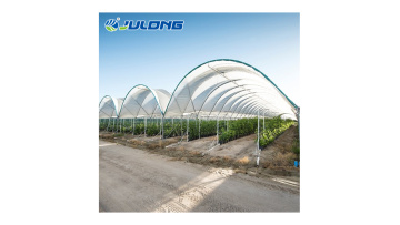 Good china agricultural Quality Low Cost Hot Sale multi-span Polytunnel film Berry Greenhouse1