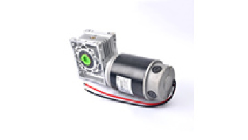 High quality Brush DC Motor 24v 800w with Gearbox1