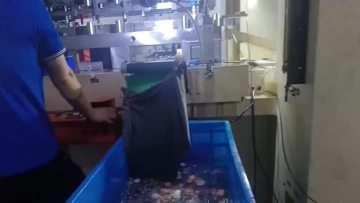 Mould Processing Service