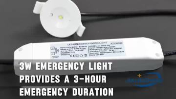 Emergency downlight