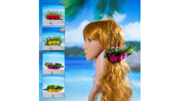 KN-hc003 hair clip