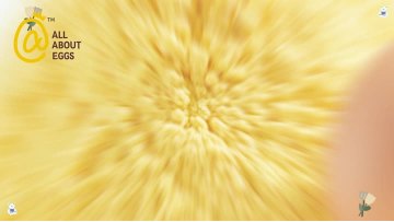 Egg Yolk Powder For Sale