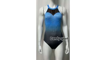 competitive gymnastics leotards