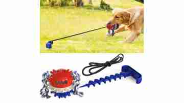 durable dog toy