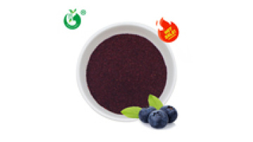Xian Pincredit 100% Pure Freeze Dried Wild Organic Blueberry Powder1