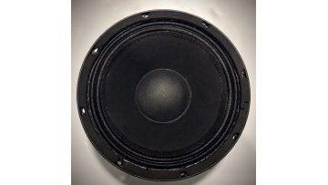 hotsale 10 inch ferrite mid bass speaker  loudspeaker1