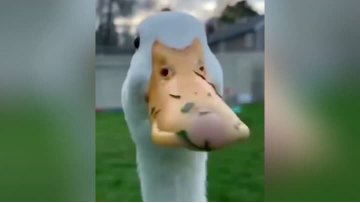 21. 5 Inch industrial waterproof computer workshop is currently being assembled