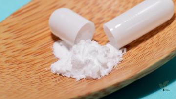 Taurousodeoxycholic Acid Tudca