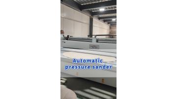 SSA25-H2 -Wood veneer sanding