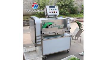 TS-Q118C Industrial multifunctional vegetable cutting machine