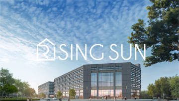 Beach Collection Part 1