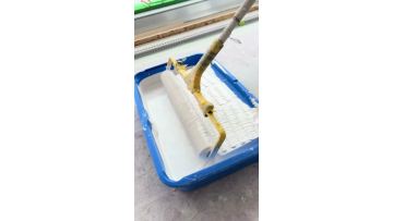 Interior Latex Paint
