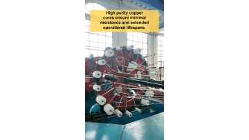 Pre sales technical evaluation guidance for engineering teams shifting toward customized total cable solution deployment