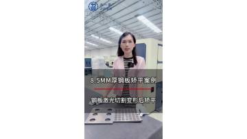 8.5mm Pressed steel plate leveling case