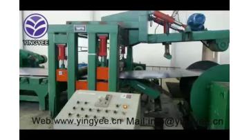 10mm Cut to Length production line