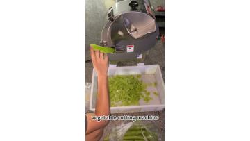 vegetable cutting machine