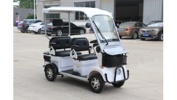 S1-6 electric tricycle with roof