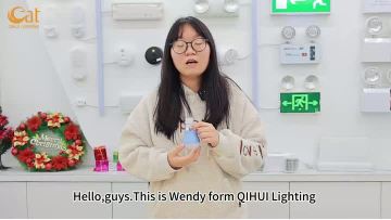 5W Emergency bulb