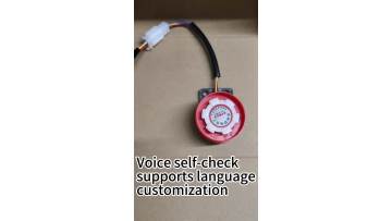 Voice self-test