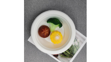 Bagasse 100% Biodegradable Pulp Paper 12oz Bowl