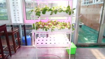 Hydroponics