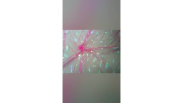 Baby Dress Mesh Fabric