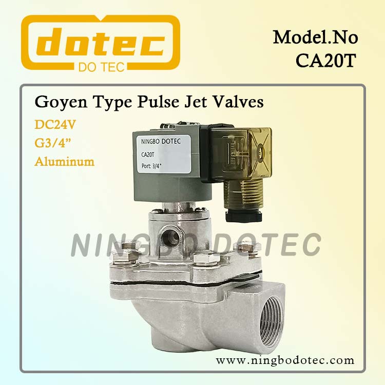 Ca20t