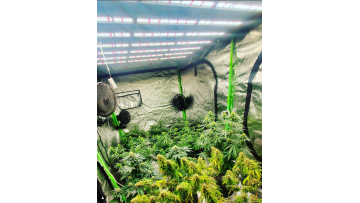 1000W Full Spectrum led grow light